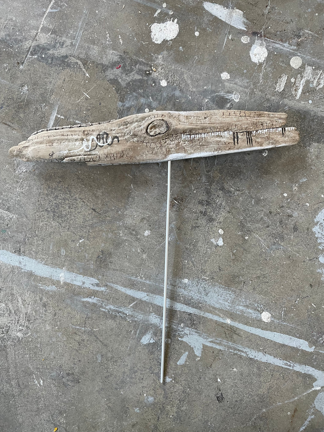 Fisch 