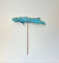 Lade das Bild in den Galerie-Viewer, Fisch hellblau
