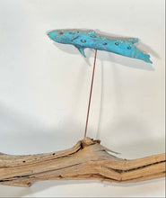 Lade das Bild in den Galerie-Viewer, Fisch hellblau
